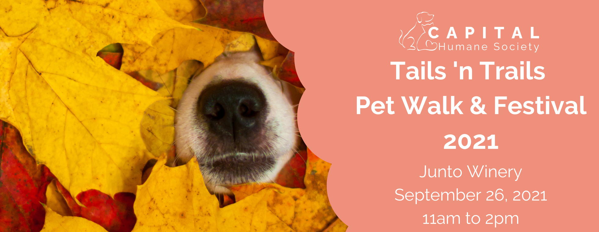 2021 Tails 'N Trails Pet Walk & Festival